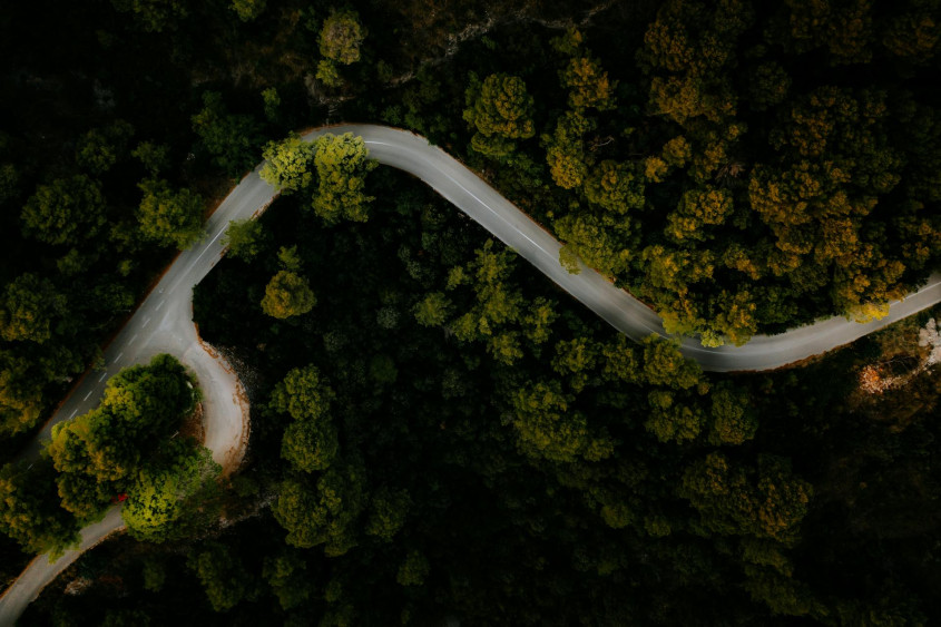 bird's eye: road winding through a dense forest